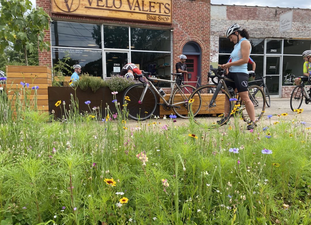 velo bike shop hours